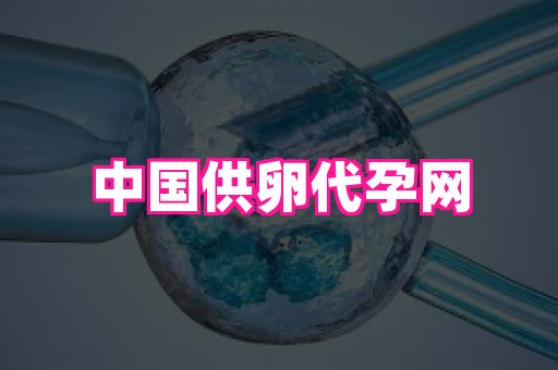 哈尔滨助孕网 3