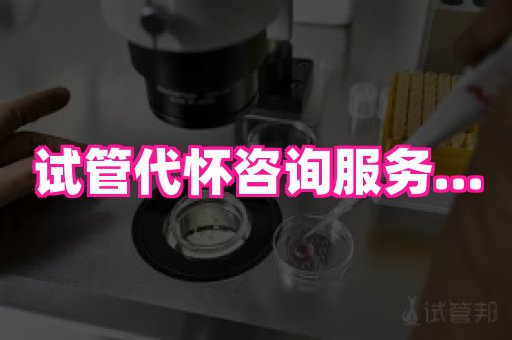 哈尔滨助孕网 4